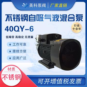 不鏽鋼自吸式臭氧氣液（yè）混合泵
